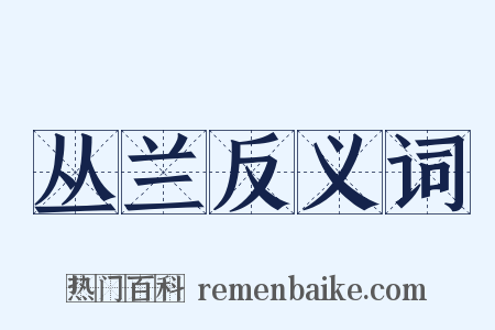 丛兰反义词是什么意思的图片